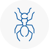 Ant Removals In West Cornwall