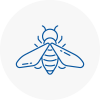 Bee Nest Removal West Cornwall