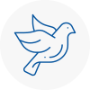 Bird Prevention West Cornwall