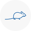 Mice Exterminators In West Cornwall