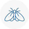 Moth Control Specialists In West Cornwall