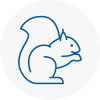 West Cornwall Rodent Removals